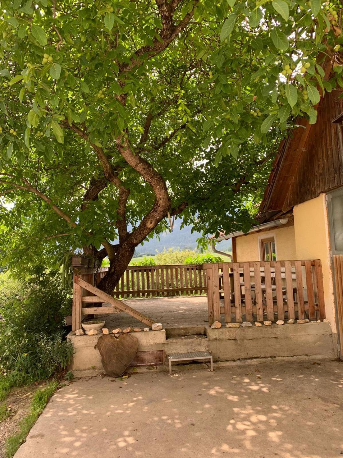 Biohof Goelly Villa Neumarkt in Steiermark Ngoại thất bức ảnh